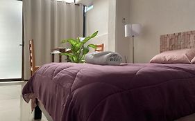 Sp Rooms Centro Historico 1 Recamara Matrimonial Con Bano Privado
